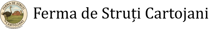 logo_site1 (2)